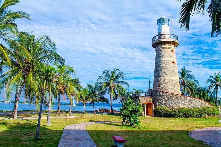 A Lighthouse With Palm Trees And A Path
