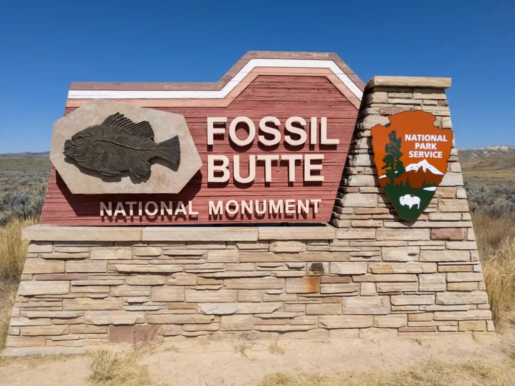 Fossil Butte National Movement, Wyoming