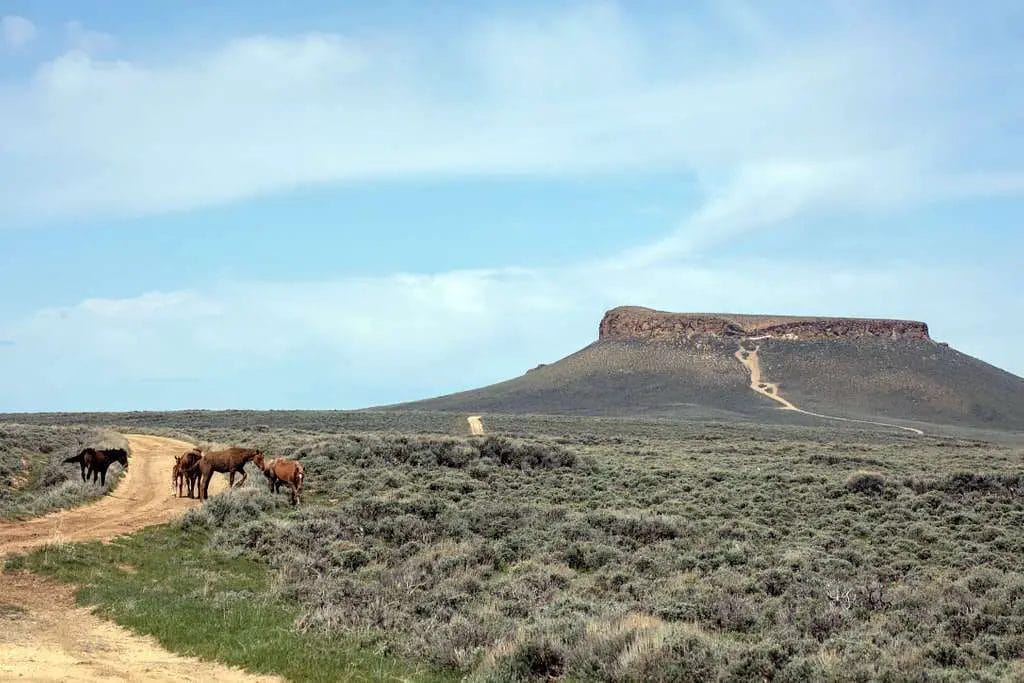 Wild Horse Loop, Wyoming