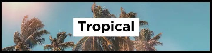 Destinations in Tropical