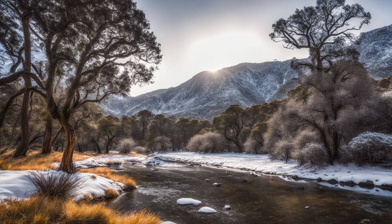 A photograph of Valle Nuevo National Park covered in snow.