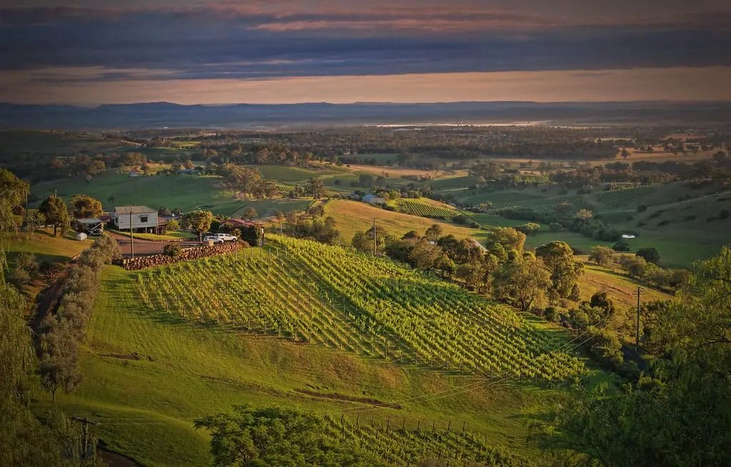 a landscape with a house and trees in Hunter Valley, New South Wales