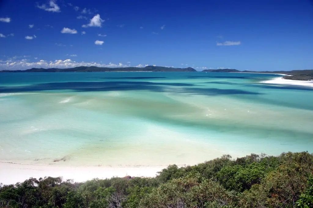 a beach with trees and blue sky in Whitsundays, Queensland