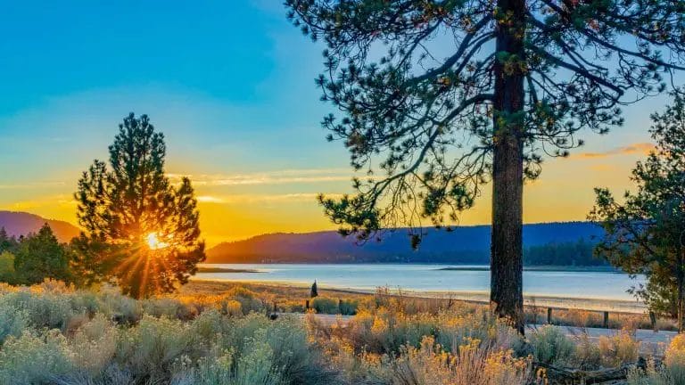 Best Time To Visit Big Bear Lake In 2024: Ultimate Guide!