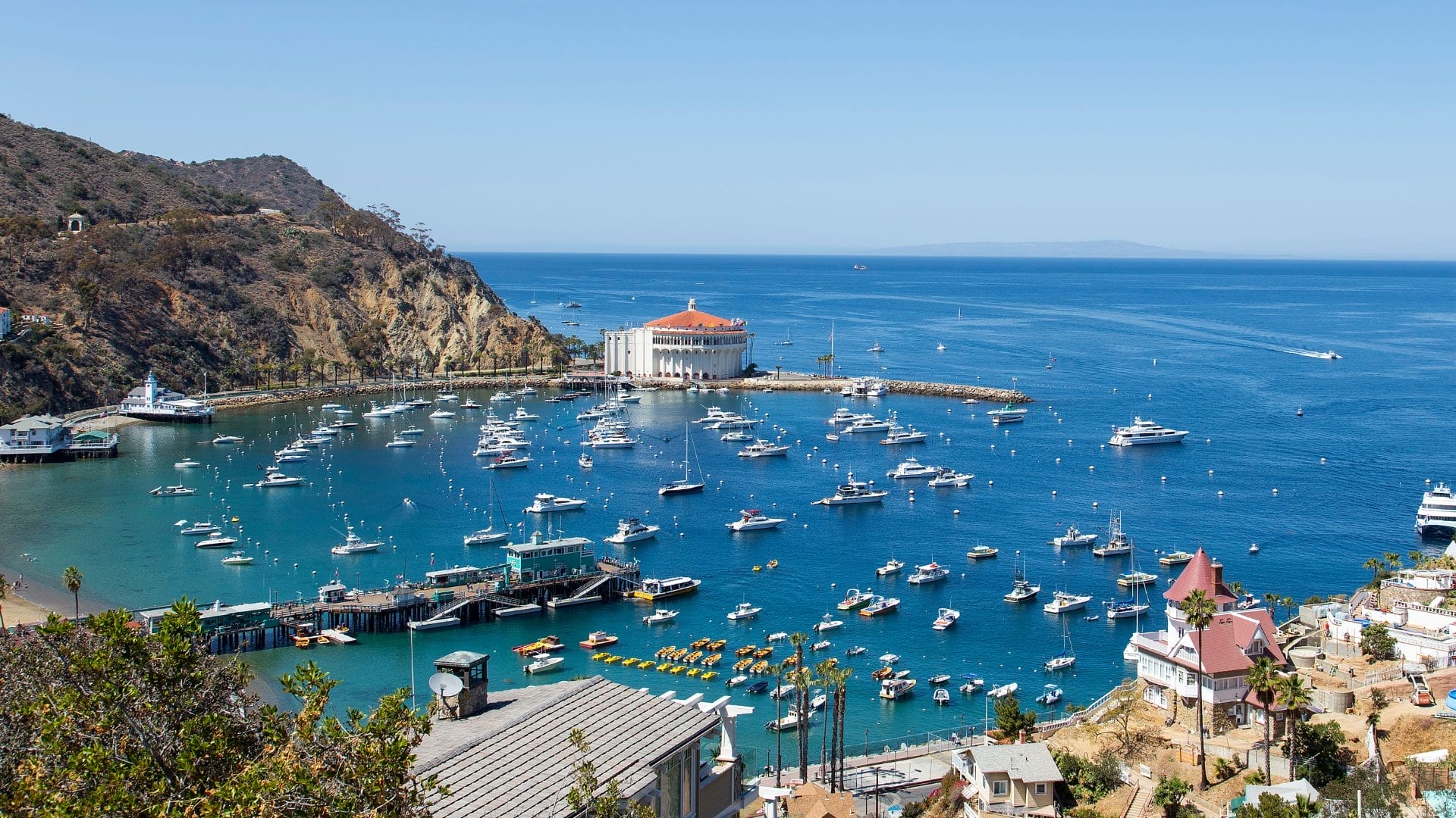 Best Time To Visit Catalina Island In 2024: Ultimate Guide!