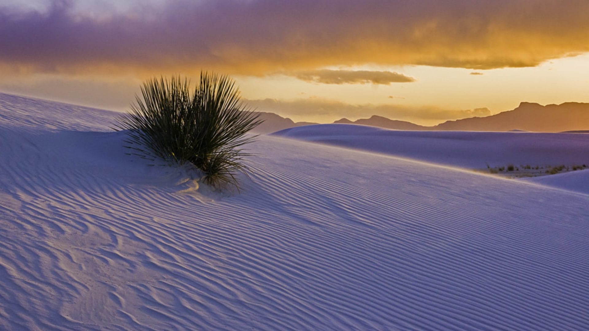 Best Time To Visit White Sands National Park In 2024