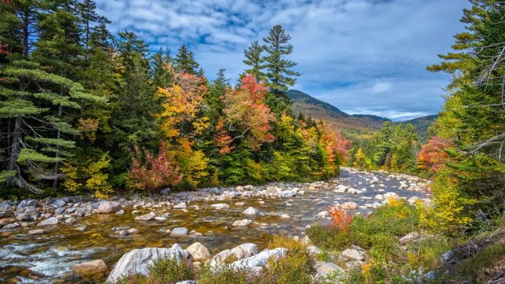 View of fall foliage along the Swift River in the White Mountains of New Hampshire