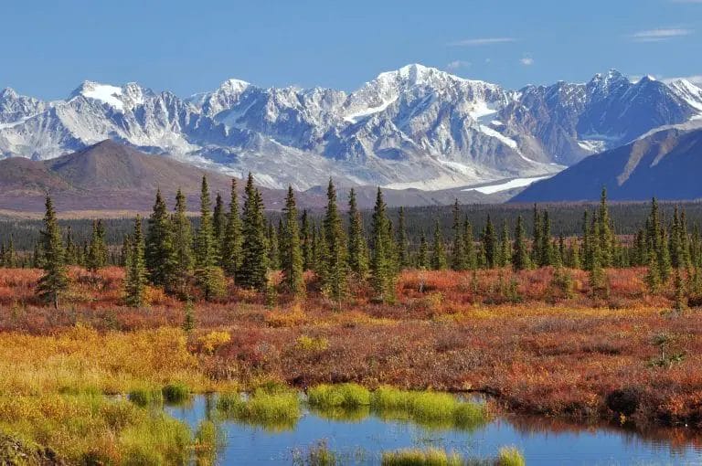 Worst Time to Visit Alaska: Key Tips to Avoid Crowd!