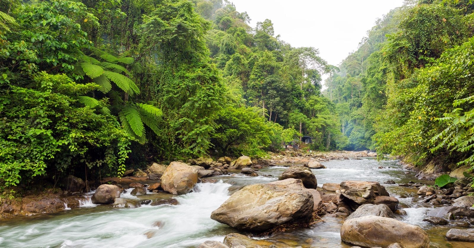 How To Get From Medan To Bukit Lawang? Find Out Here!